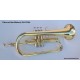 Fliscorno StarSMaker® SM-FC001