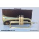 Fliscorno StarSMaker® SM-FC001