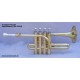  Trompeta Píccolo Sib StarSMaker® SM-TR018