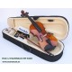  Violin de 1/2 StarSMaker® SM-VL002 Glossy