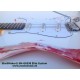 Guitarra eléctrica StarSMaker® SM-GE038 Élite Custom extreme relic 62